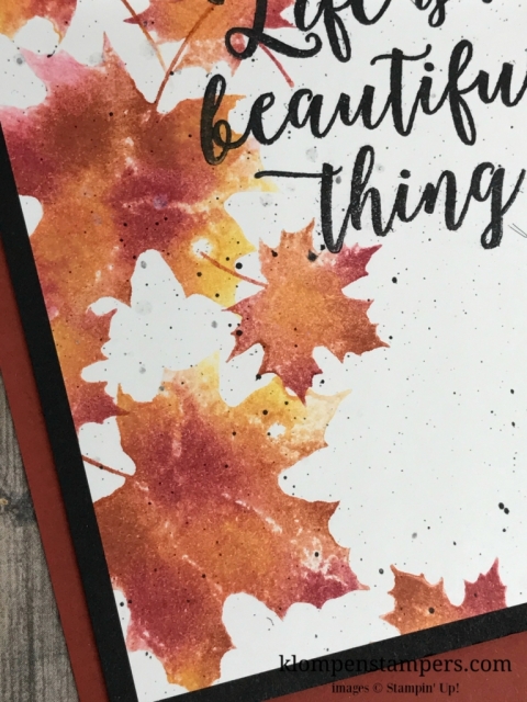 Baby wipes are used in 2 different techniques using Stampin' Up! reinkers and the Colorful Seasons stamp set.