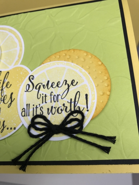 Video filled with tips for stamping with the Lemon Zest Bundle. How to get lots of texture and dimension in your projects--quickly and easily.