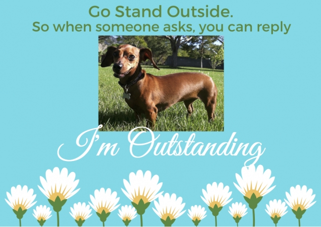 Sage Weenie Wednesday. Fun pictures of Sage Weenie every Wednesday on klompenstampers.com