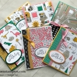 Several different ideas using the Pick a Pattern DSP from Stampin' Up! Cutting instructions posted on blog. www.klompenstampers.com