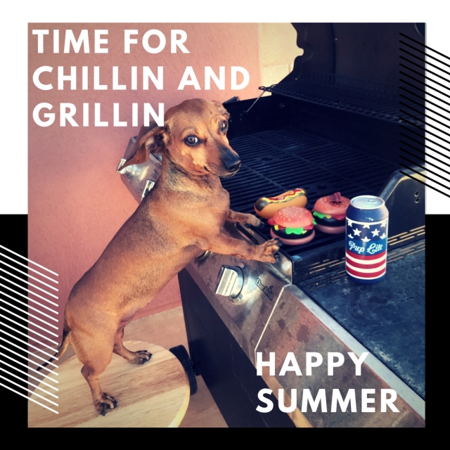 Sage Weenie Wednesday. Fun pictures of Sage Weenie every Wednesday on klompenstampers.com