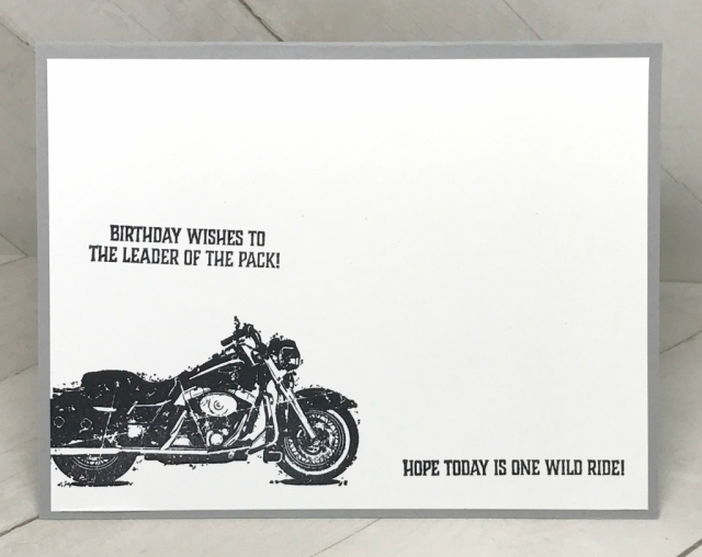 One Wild Ride by Stampin' Up!