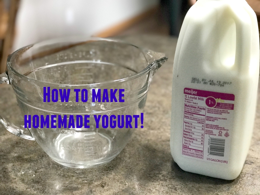 Instructions for making homemade yogurt--it's super easy! and yummy!