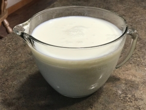 How to make homemade yogurt. Its easy!