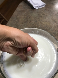 How to make homemade yogurt. Its easy!