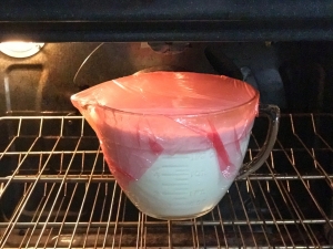 How to make homemade yogurt. Its easy!