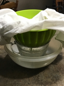 How to make homemade yogurt. Its easy!