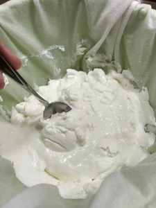 How to make homemade yogurt. Its easy!