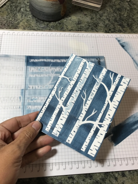 Ink your embossing folders for a fun different look. Quick & easy card--but a little messy!