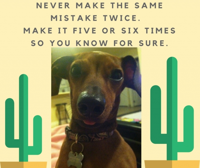 Sage Weenie Wednesday always has great words of advice!
