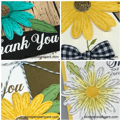 Online stamping class using Daisy Delight stamp set and punch. Complete tutorial and video with tips for making 4 unique cards.