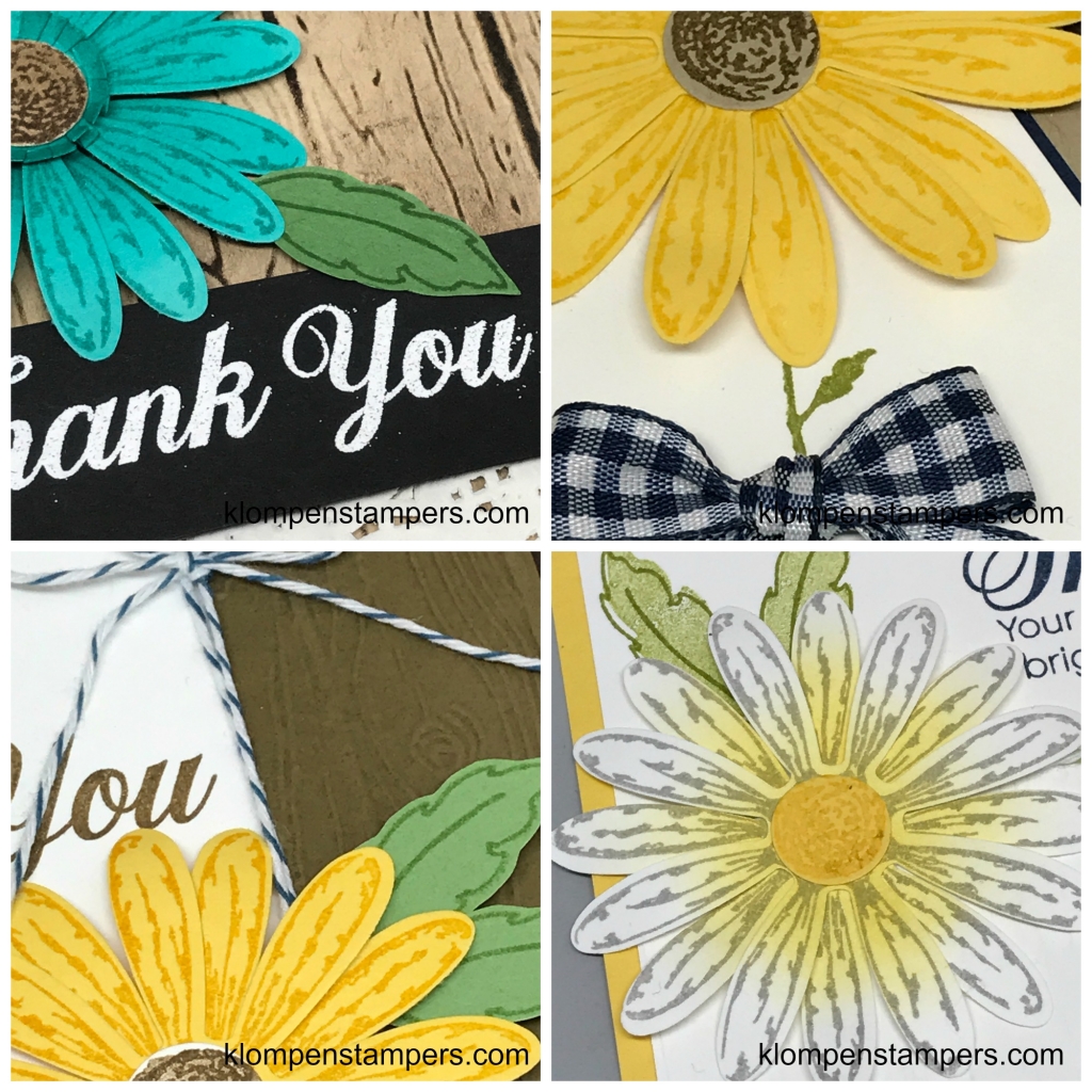 Online stamping class using Daisy Delight stamp set and punch. Complete tutorial and video with tips for making 4 unique cards.