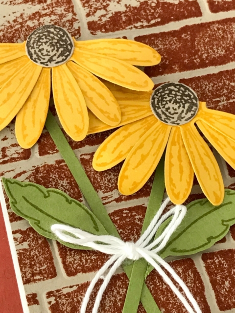Video filled with tips for stamping with the Daisy Delight Stamp set and punch.