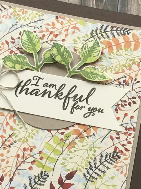 Easy card using Painted Autumn DSP & Painted Harvest Stamp Set. Details posted on website klompenstampers.com