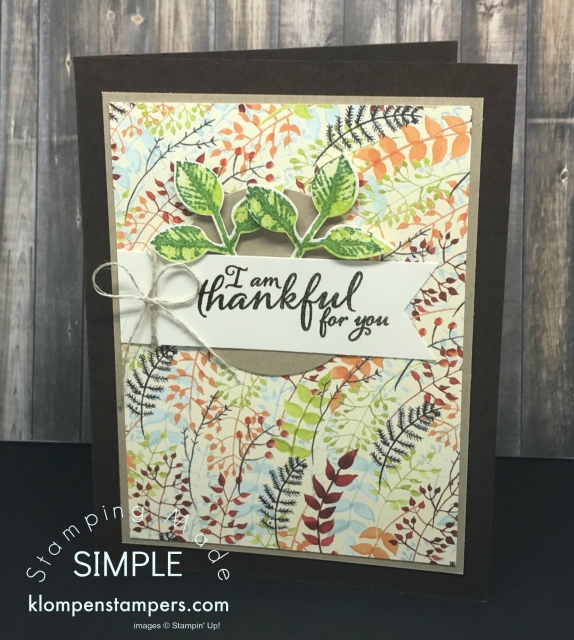 Easy card using Painted Autumn DSP & Painted Harvest Stamp Set. Details posted on website klompenstampers.com