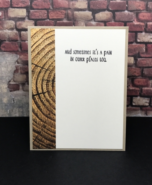 Quick & Easy cards featuring Wood Textures Designer Series Papers (DSP) from Stampin' Up!. Great Masculine Cards!