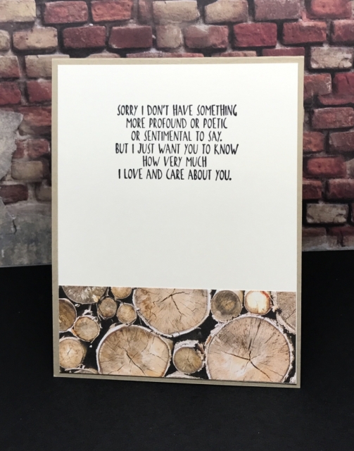 Quick & Easy cards featuring Wood Textures Designer Series Papers (DSP) from Stampin' Up!. Great Masculine Cards!