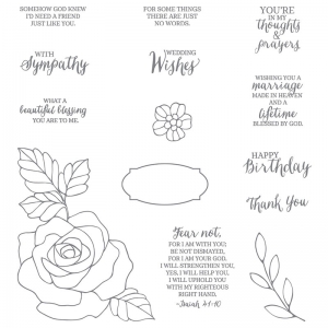 Rose Wonder stamp set by Stampin' Up! 