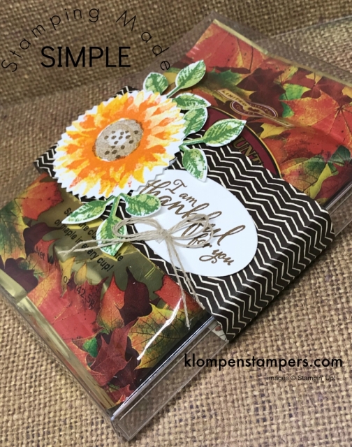 Cute (and easy) gift for someone special using Acetate Card Boxes & Painted Harvest stamp set from Stampin' Up! 