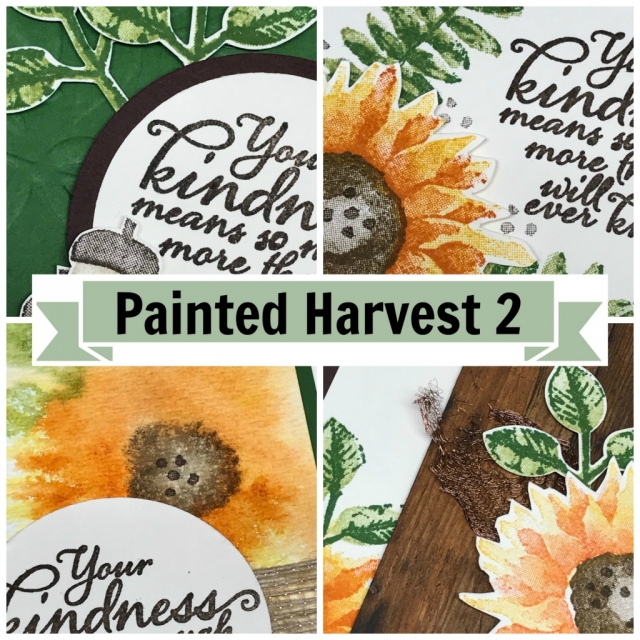 Painted Harvest 2 Online Stamping Class & Card Kit. FREE with purchase! (or can purchase class/kit!)