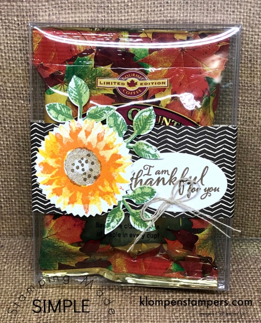 Cute (and easy) gift for someone special using Acetate Card Boxes & Painted Harvest stamp set from Stampin' Up! 