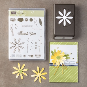 Daisy Delight stamp set and Daisy Punch together in a bundle