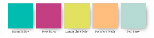 Colors in the Picture Perfect DSP
