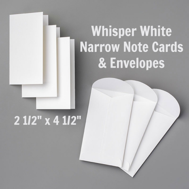 Narrow Note Cards are all the craze. Perfect for this quick and easy birthday card.