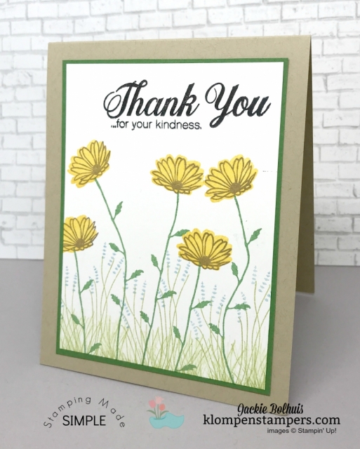 Tips for using Photopolymer stamps while using Daisy Delight stamp set.
