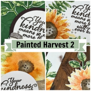 Tutorial for 4 projects using Painted Harvest by Stampin' Up! by Jackie Bolhuis, Klompenstampers #jackiebolhuis #klompenstampers