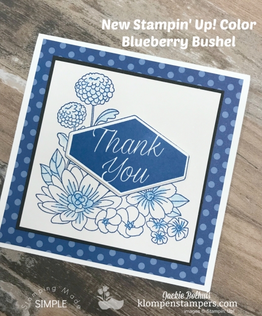 Stamping Made Simple with Accented Blooms and New In-Color Blueberry Bushel