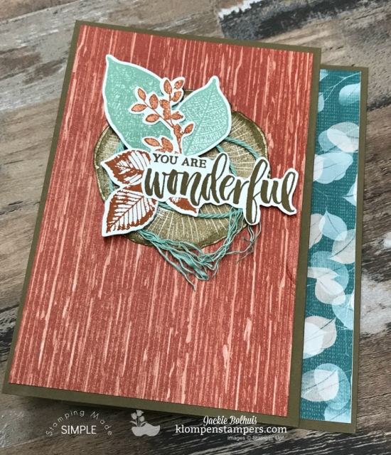 DIY Fun Fold Card
