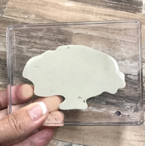 Clear Mount Stamp with Clear block by Stampin' Up!