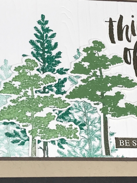 Rooted in Nature Bundle by Stampin' Up!