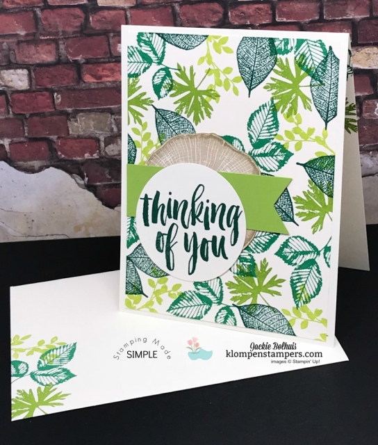 Easy Cards using Rooted in Nature Stamped Background