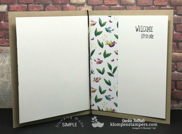 Stampin Up Animal Expedition Card ideas