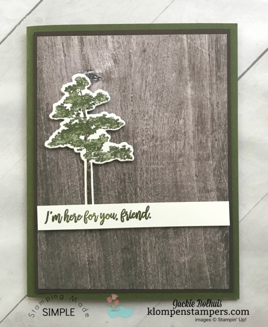 Stampin' Up! Rooted in Nature Quick and Easy Masculine Cards