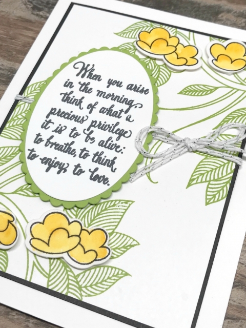jackie bolhuis, stampin up demonstrator