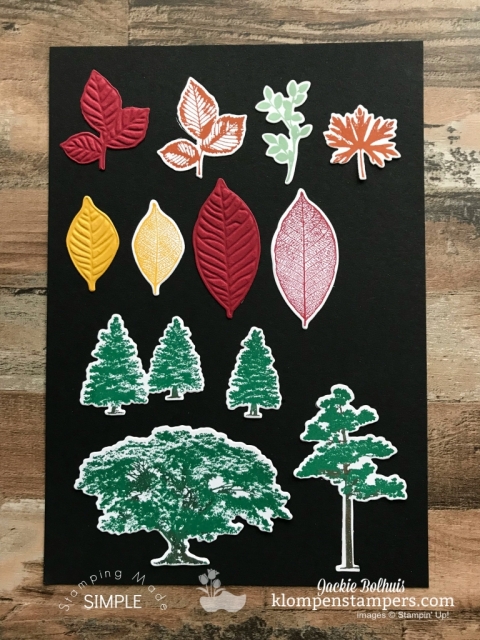Die Cut & Embossing Mat Tips Video Tutorial by Jackie Bolhuis with Klompen Stampers. Learn how to make this beautiful card with a mix of die cuts and embossed layers using the Big Shot machine and embossing mats. #cardmaking #greetingcards #stampinupcards #jackiebolhuis #klompenstampers