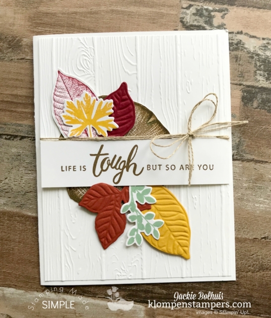 Die Cut & Embossing Mat Tips Video Tutorial by Jackie Bolhuis with Klompen Stampers. Learn how to make this beautiful card with a mix of die cuts and embossed layers using the Big Shot machine and embossing mats. #cardmaking #greetingcards #stampinupcards #jackiebolhuis #klompenstampers