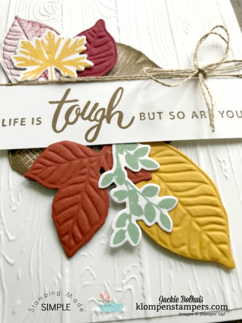 https://www.stampinup.com/ecweb/product/148353/rooted-in-nature-clear-mount-bundle?dbwsdemoid=1940