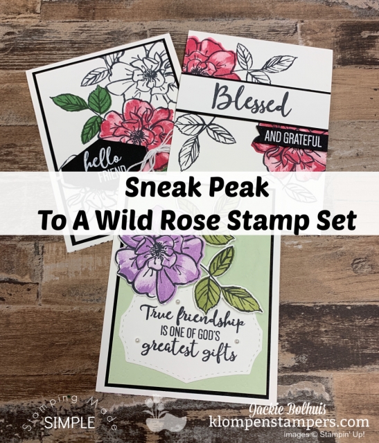 new-craft-supplies-stampin-up-to-a-wild-rose-stamp-set