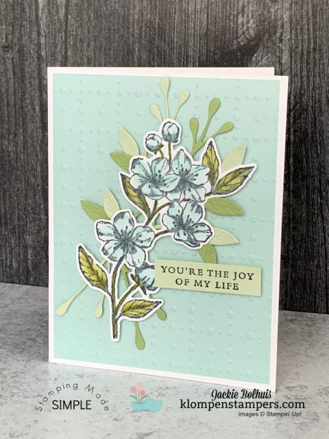 Vellum-on-greeting-cards-pool-party-colored-vellum-cardstock