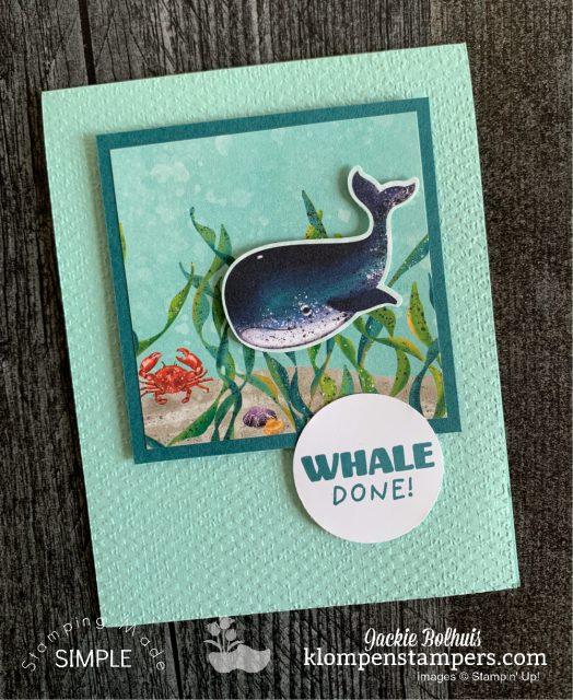 easy-greeting-cards-with-design-it-with-dsp-series-by-jackie-bolhuis-klompen-stampers