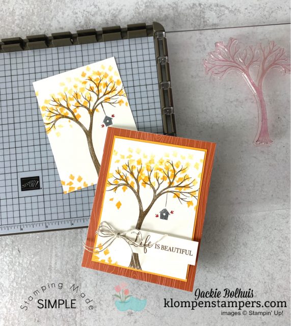 The Stamparatus is the perfect tool for easy card making.