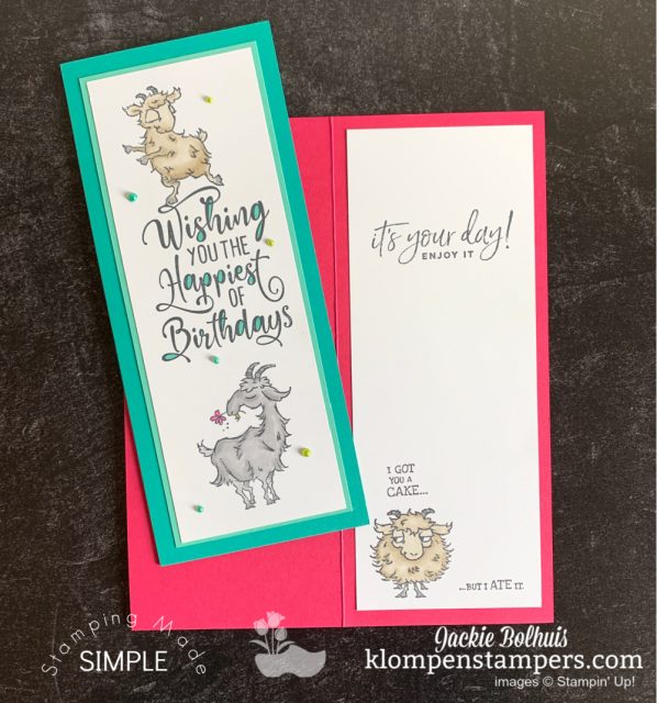 Use your Stampin' Blends or favorite alcohol markers to color your easy slim line card.