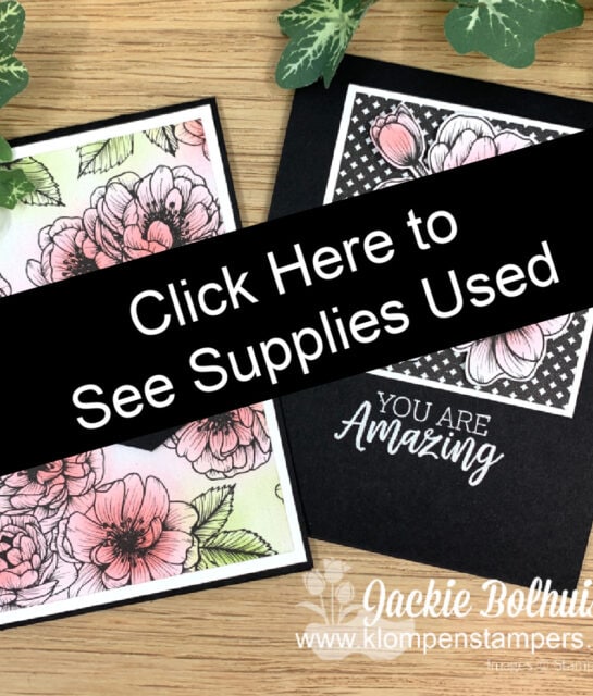 Click here to purchase supplies used to make these greeting cards.