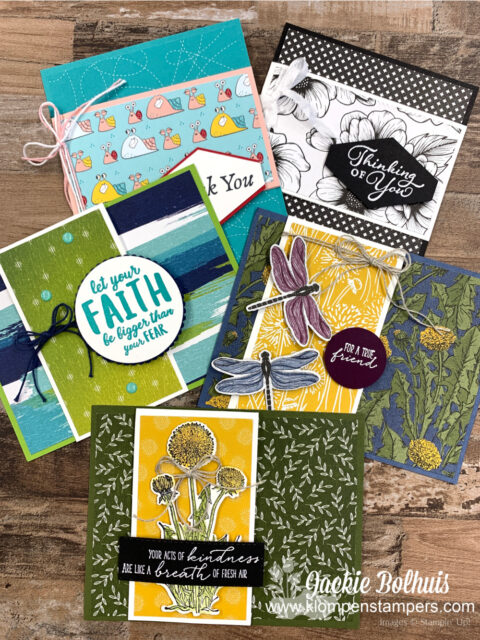 A bunch of other ideas with this delightful fun fold card.