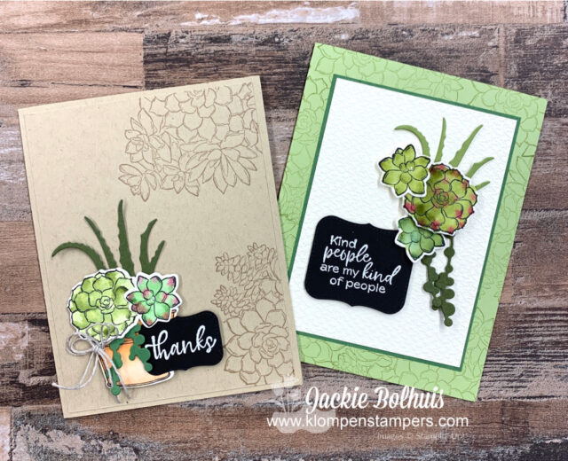 I used my water painters to paint these die cuts from the Stampin' Up! Simply Succulents.