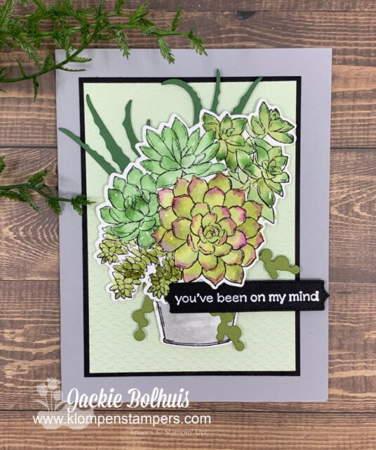 Water painters give the Simply Succulents stamp set such a fun blended look of color.